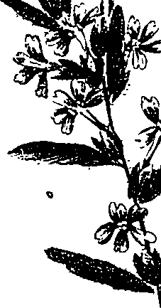 099/099330012000700_3.png
