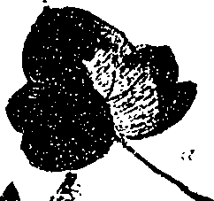 099/099330012000720_0.png