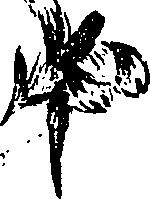 099/099330012000720_1.png