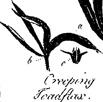 099/099330012000750_0.png