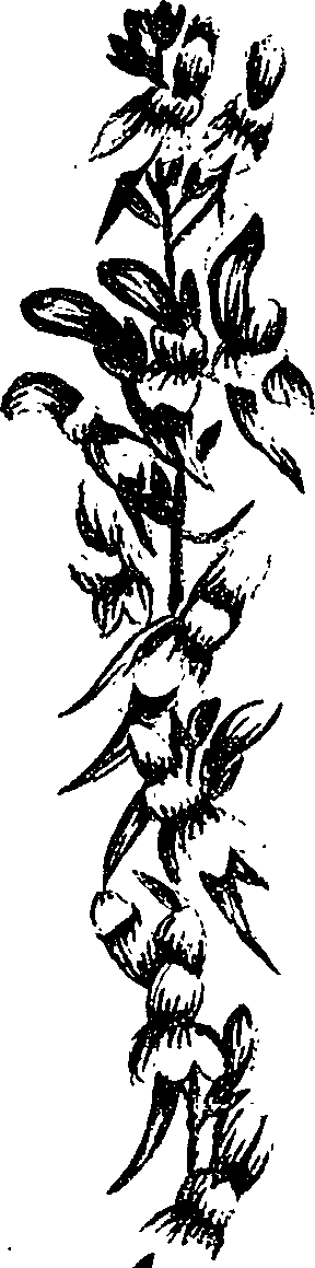 099/099330012000760_0.png