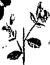 099/099330012000780_0.png