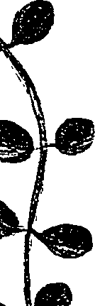 099/099330012000780_1.png