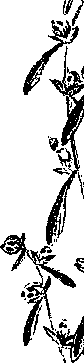 099/099330012000780_2.png