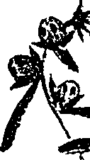099/099330012000780_3.png