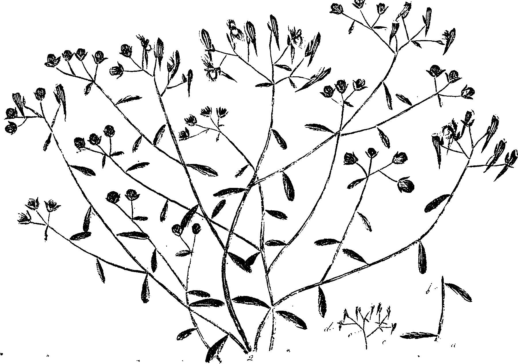 099/099330012000810_0.png