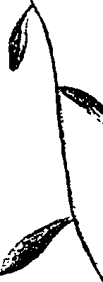 099/099330012000840_0.png