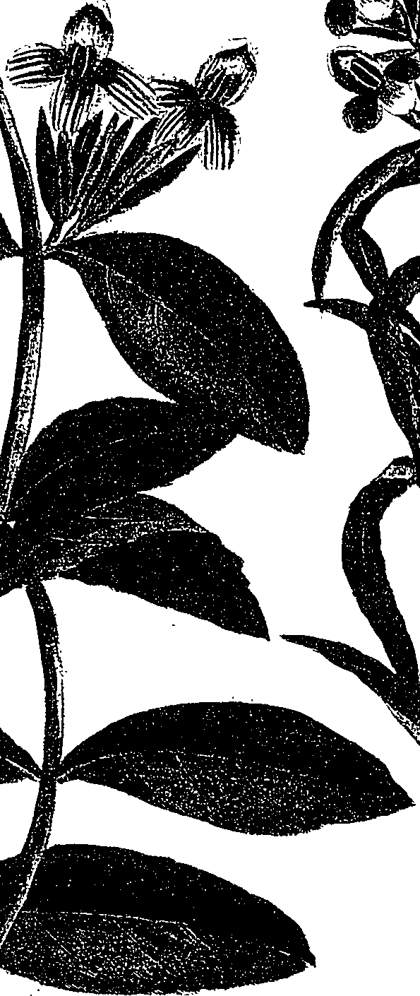 099/099330012000850_2.png