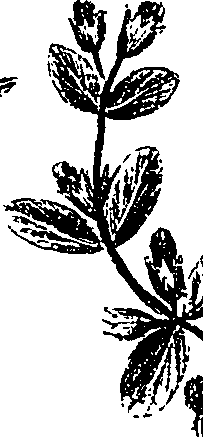 099/099330012000880_0.png