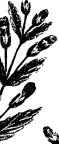 099/099330012000880_1.png