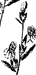 099/099330012000890_0.png