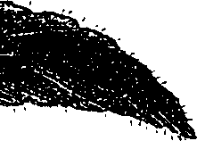 099/099330012000910_1.png