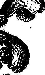 099/099330012000910_2.png