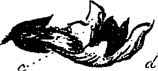 099/099330012000920_0.png