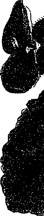099/099330012000940_0.png