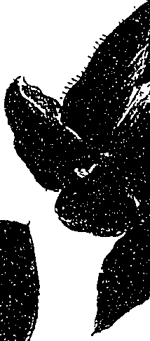099/099330012000940_1.png