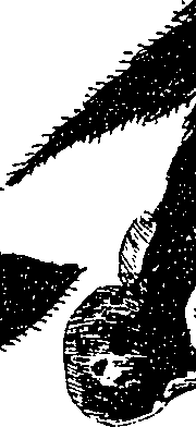 099/099330012000960_1.png