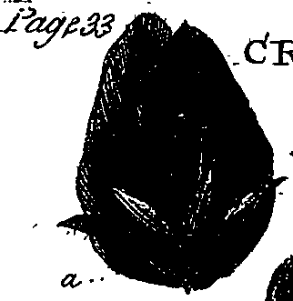 099/099330012000960_3.png
