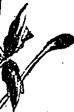 099/099330012001000_1.png