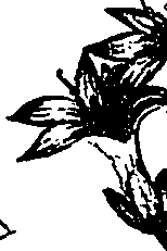 099/099330012001000_2.png
