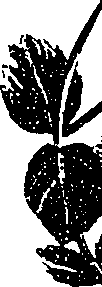 099/099330012001060_0.png