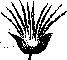 099/099330012001060_2.png