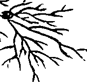 099/099330012001080_1.png