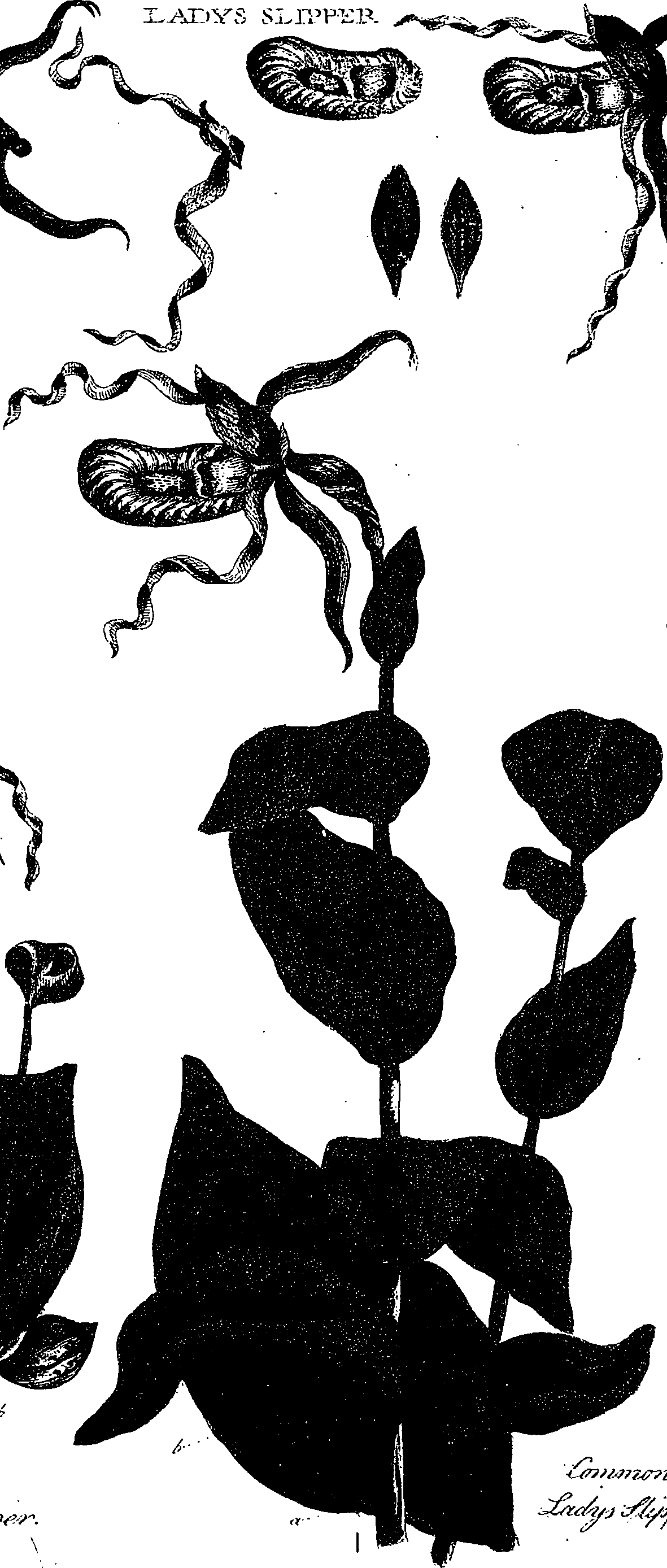 099/099330012001110_0.png