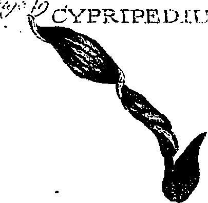 099/099330012001110_1.png