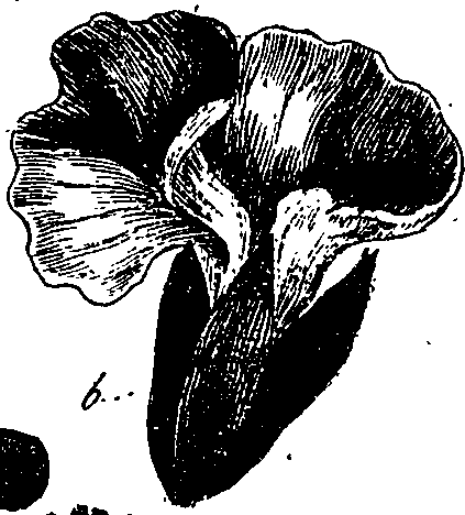 099/099330012001120_0.png