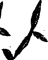 099/099330012001130_0.png