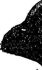 099/099330012001130_1.png