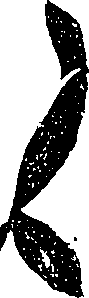 099/099330012001130_2.png