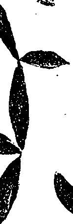 099/099330012001130_3.png