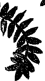 099/099330012001140_0.png