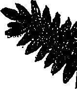 099/099330012001140_1.png