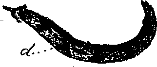 099/099330012001140_2.png