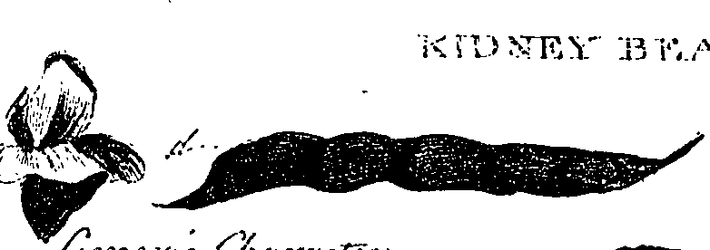 099/099330012001180_1.png