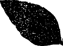 099/099330012001210_2.png