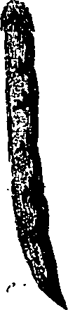 099/099330012001220_0.png