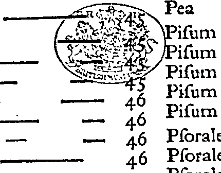 099/099330012100630_0.png