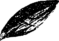 099/099330012100680_1.png