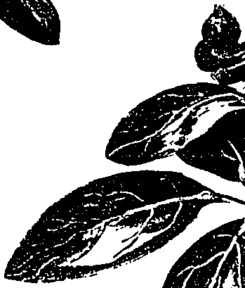 099/099330012100680_2.png