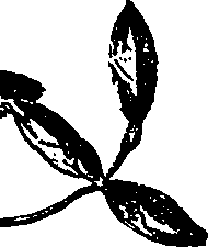 099/099330012100680_3.png