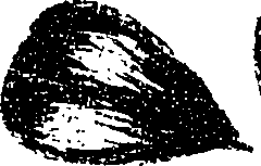 099/099330012100710_0.png