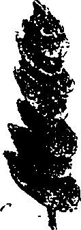 099/099330012100720_0.png