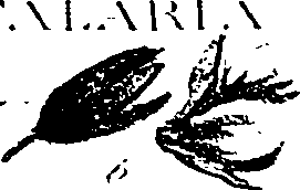 099/099330012100720_1.png