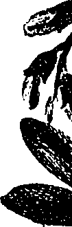 099/099330012100760_1.png