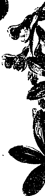 099/099330012100760_2.png