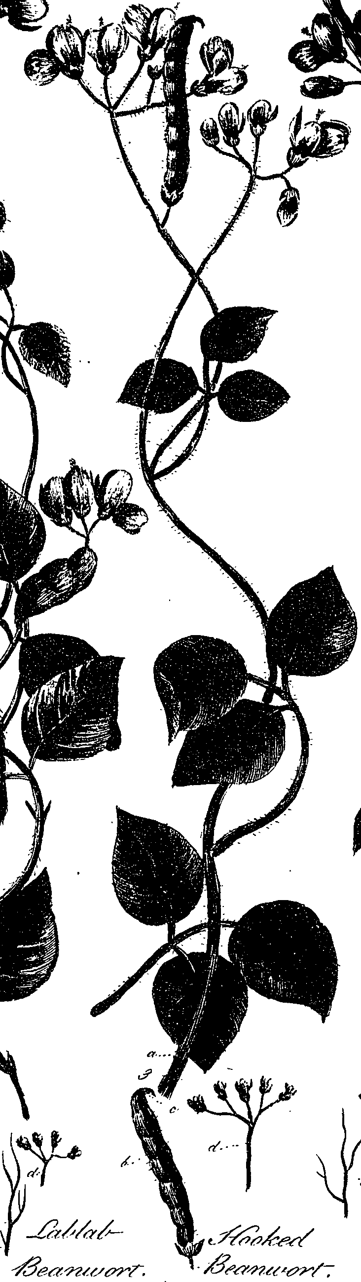 099/099330012100790_0.png